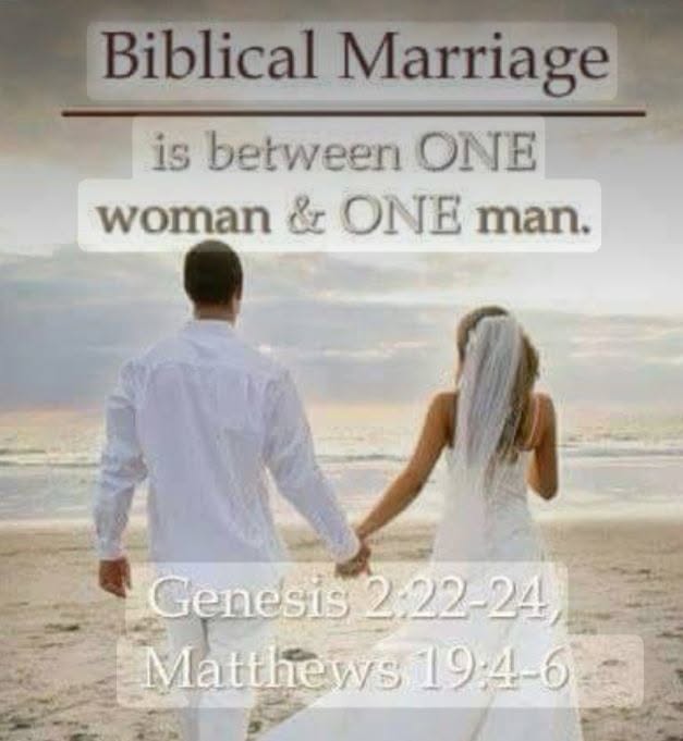 Why a Christian man cannot have more than one wife